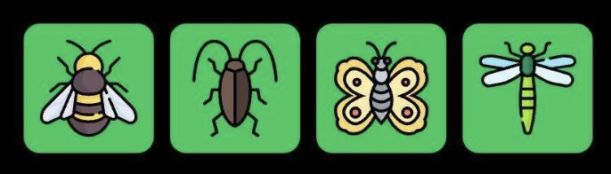 FLIES Daily Combo 23 May 2025
